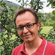 Studi territoriali, analisi quali-quantitative excel, principali software di uso comune, scrittura di report, tesi, documenti tecnici